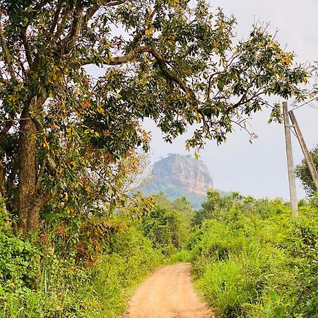 Hotel Sigiriya Kele 외부 사진