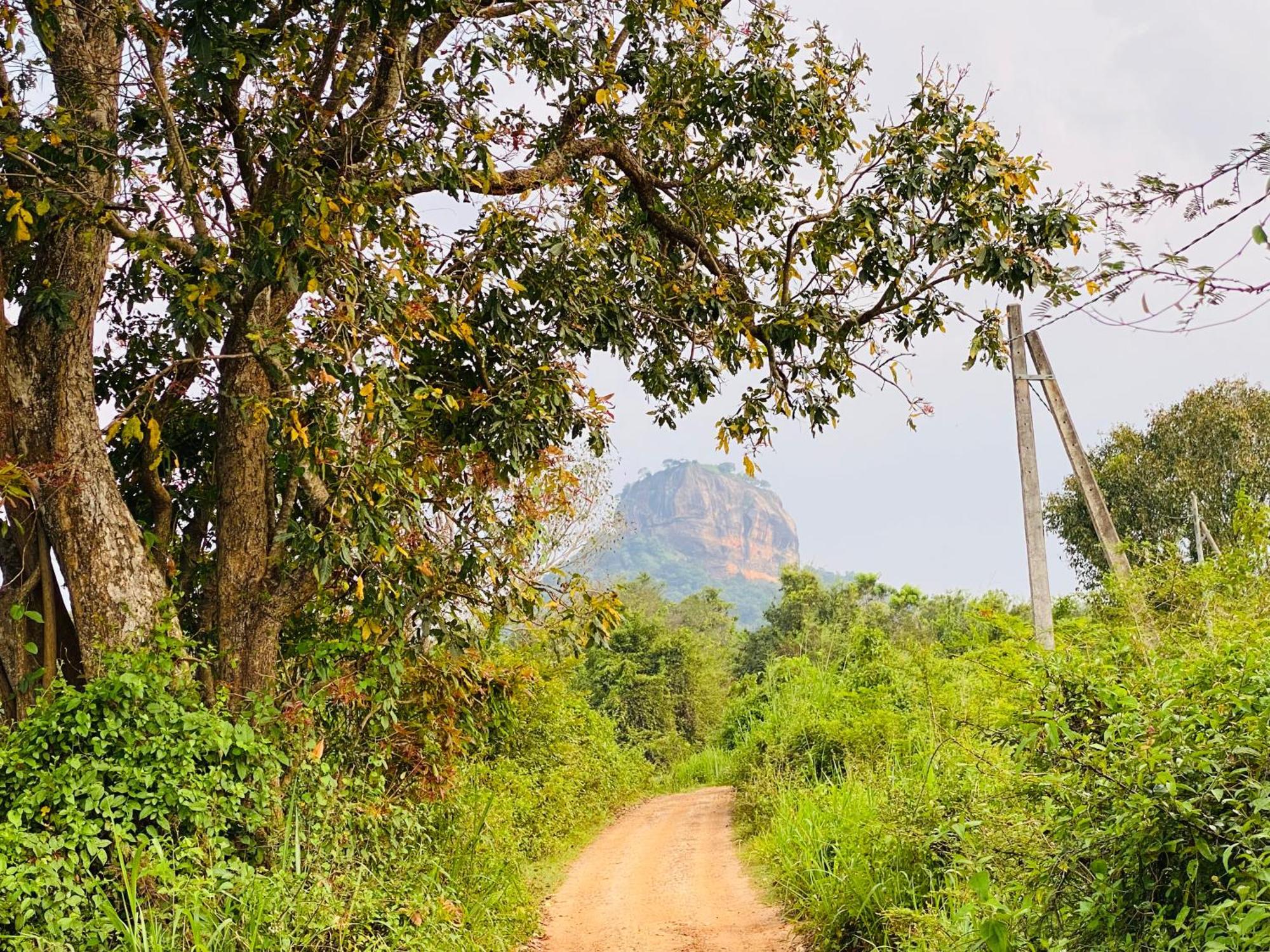 Hotel Sigiriya Kele 외부 사진