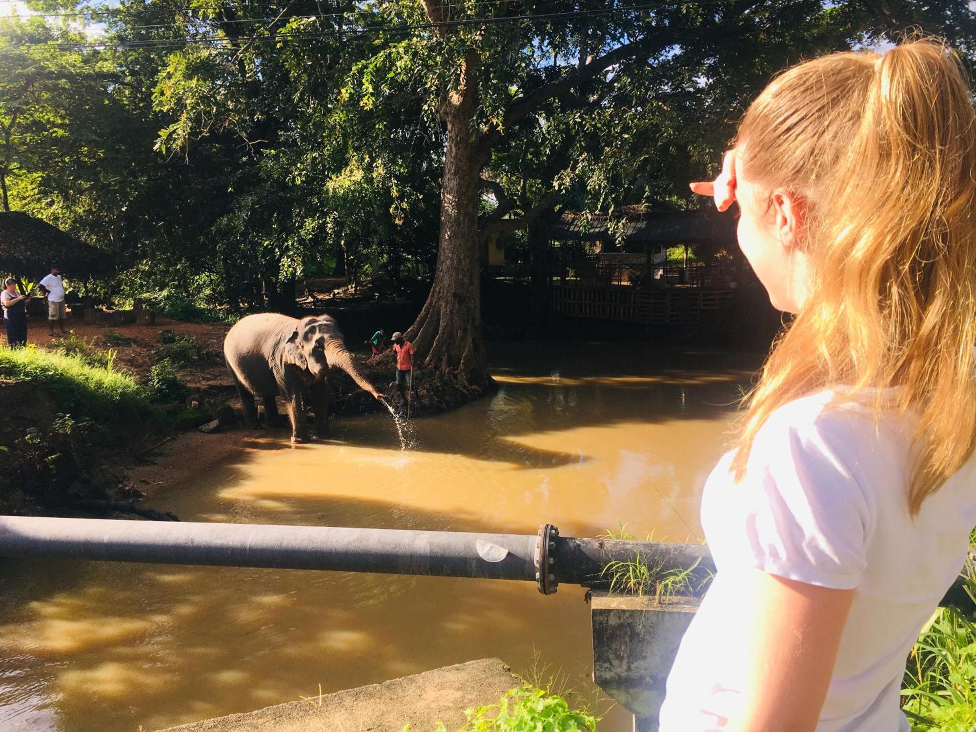 Hotel Sigiriya Kele 외부 사진